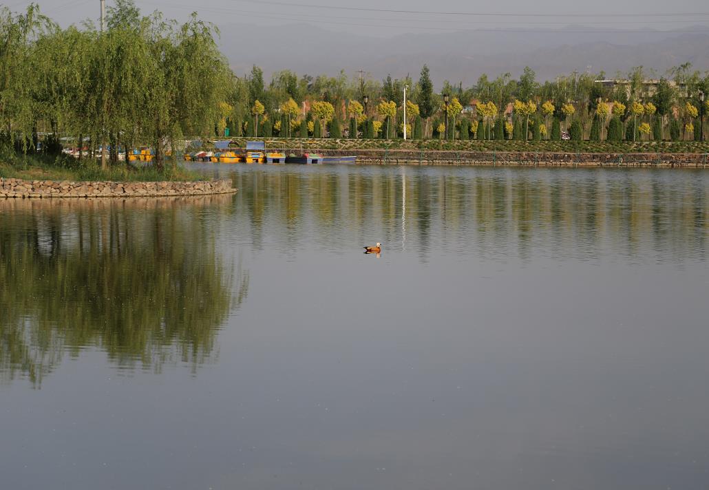 南洋河生態修復治理項目
