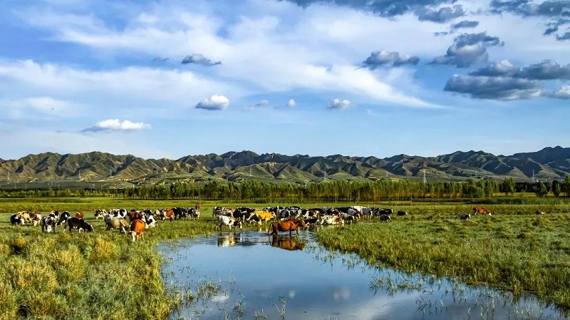 山西省PM2.5濃度首次邁進“30+” 實現歷史性突破【2】