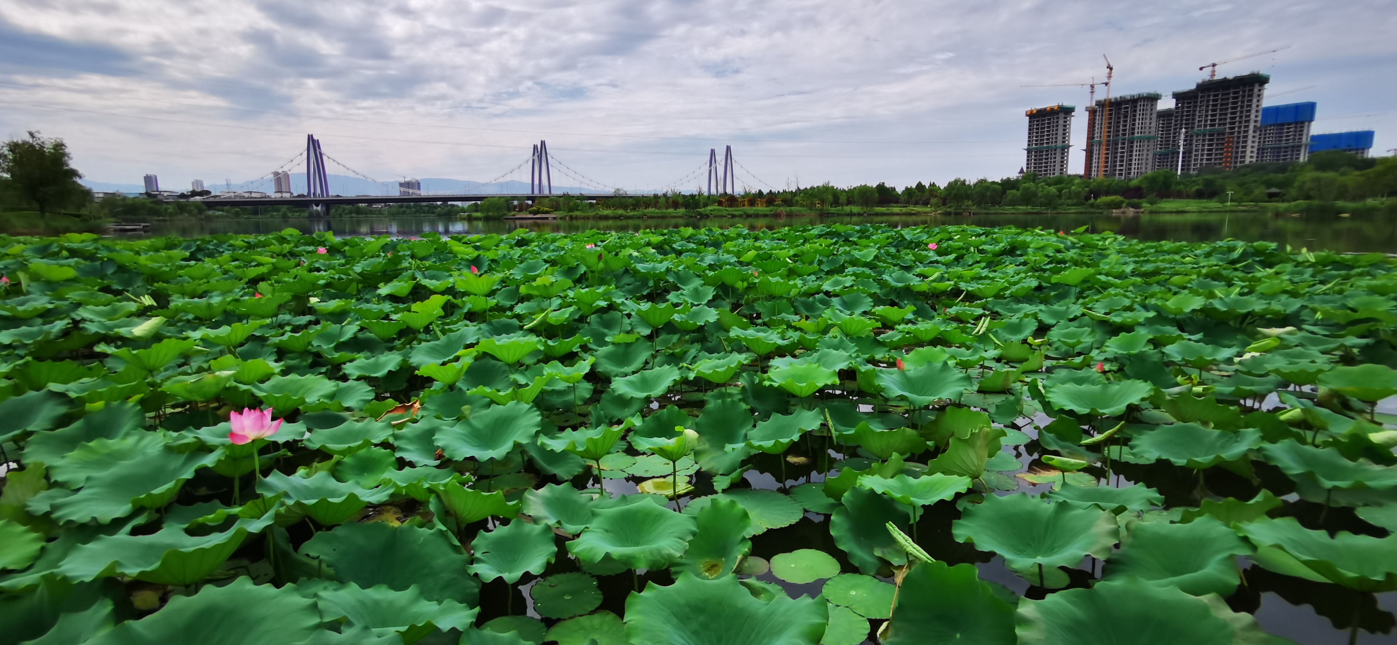 山西臨汾：城水相依 處處皆景【4】