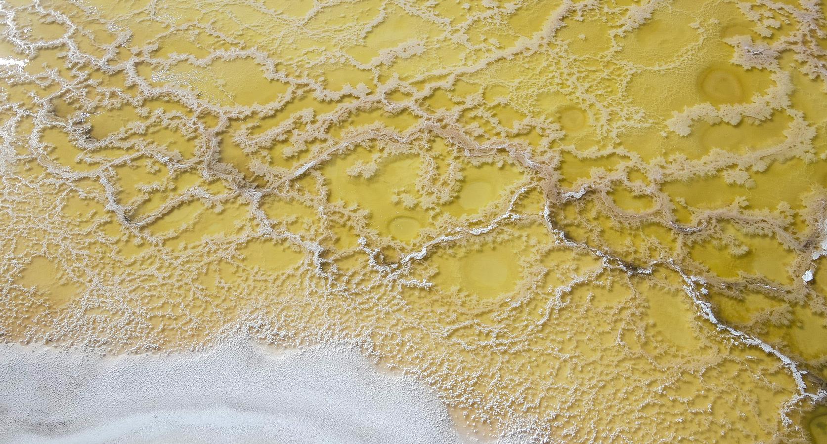 冬日鹽湖 “雪樹銀花”【3】