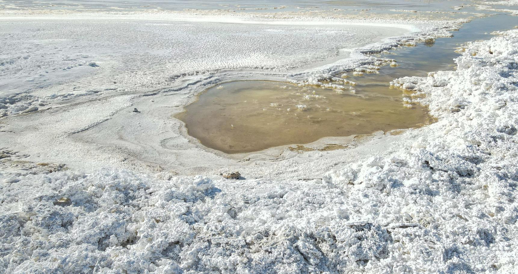 冬日鹽湖 “雪樹銀花”【4】