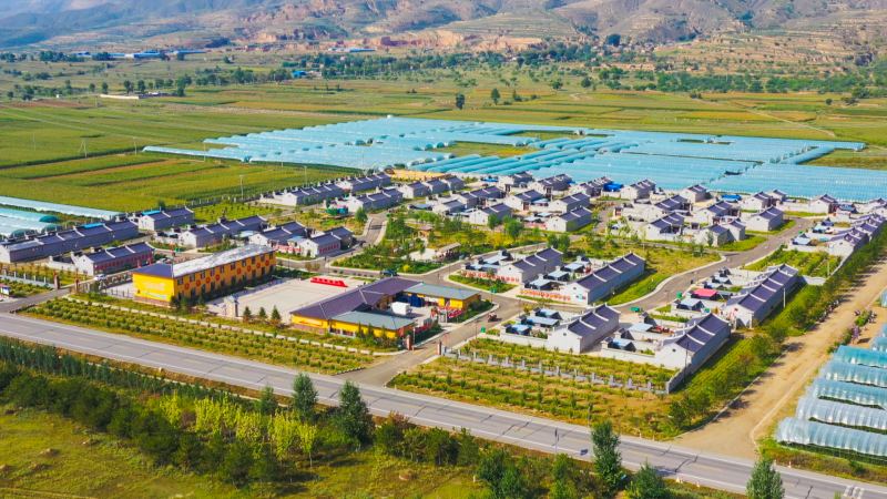 花苑村設施農業基地。