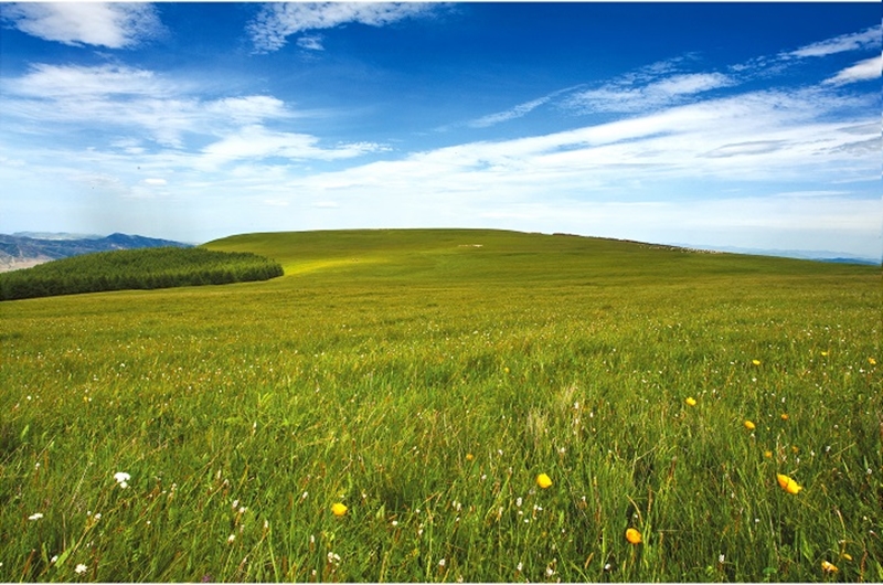 甸頂山空中草原