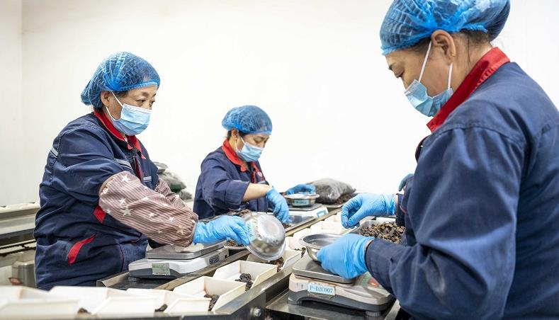 對中藥飲片篩選、包裝