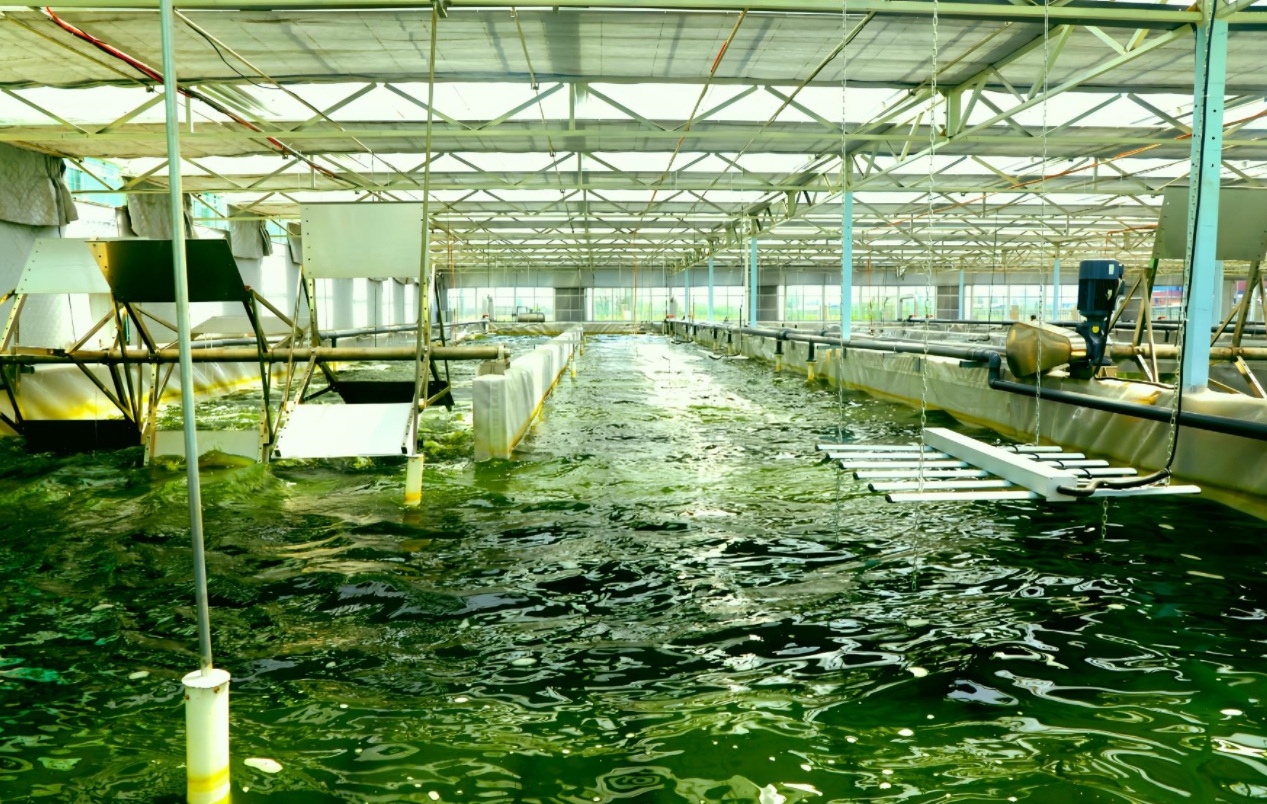 安泰專業化生產車間恒溫跑道池