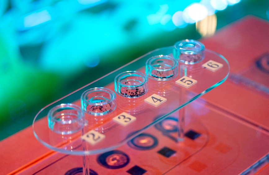 陶寺遺址中發現的粟、黍、稻、豆等的炭化種子