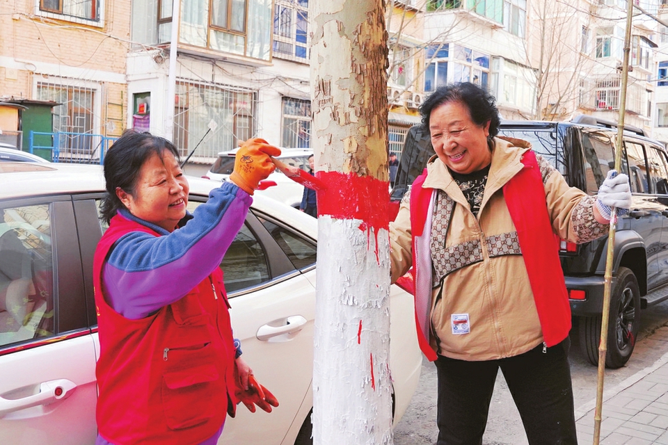 橋頭街道段西溝社區，居民志愿者與物業工作人員共同為樹干涂白，為小區環境“煥新”。