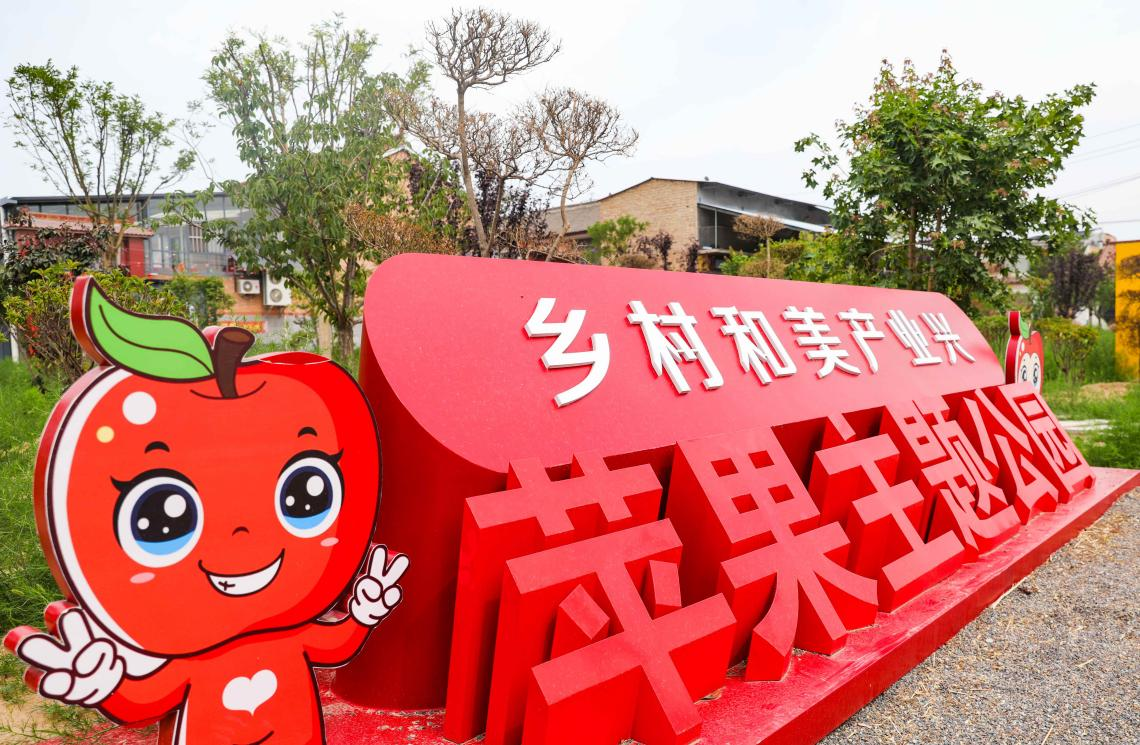 上韓村蘋果主題公園。人民網記者 王帆攝