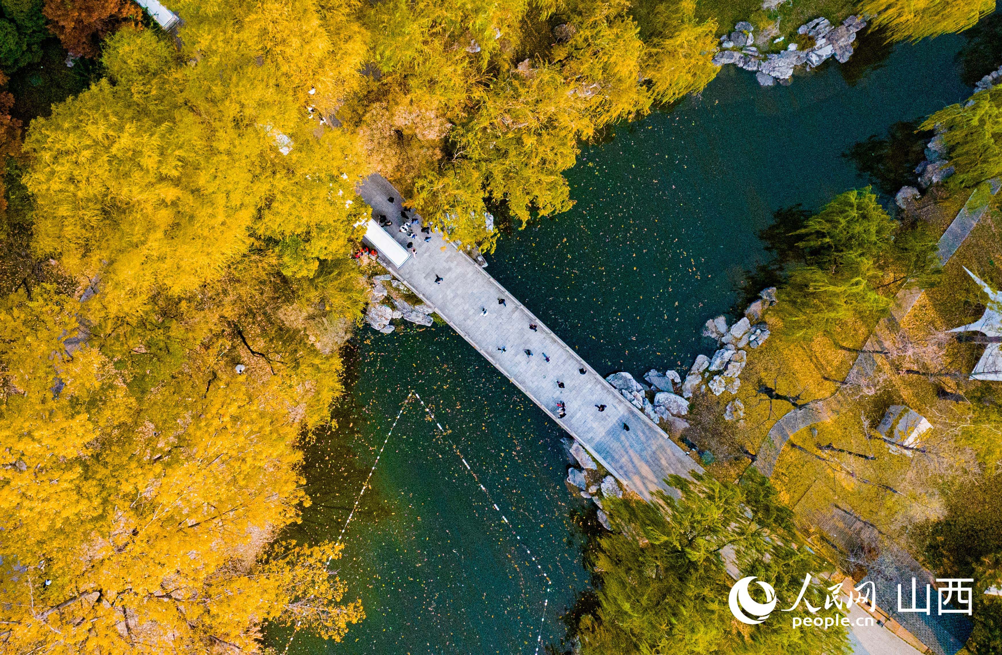 航拍晉祠公園游人在深秋漫步。人民網記者 王帆攝