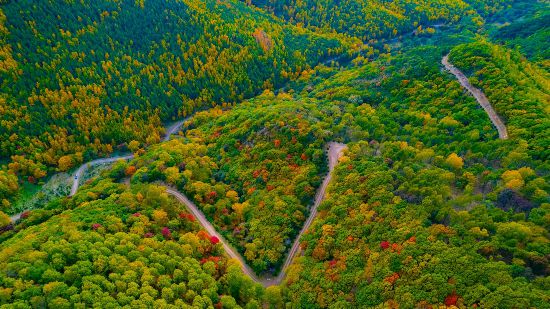 國家一號風景大道初秋景色。孫占軍 攝